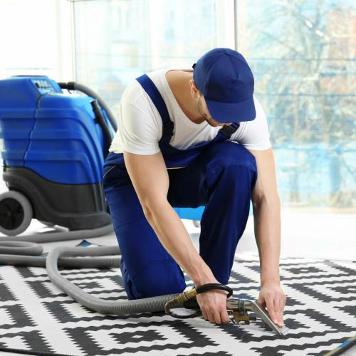 Dry cleaner's employee removing dirt from carpet in flat